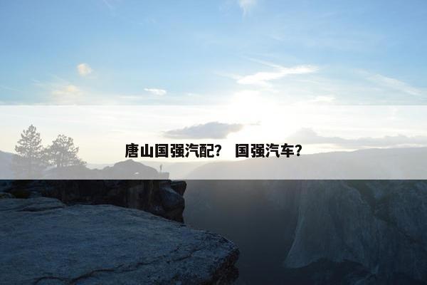 唐山国强汽配？ 国强汽车？