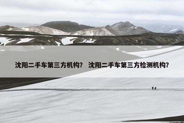 沈阳二手车第三方机构？ 沈阳二手车第三方检测机构？