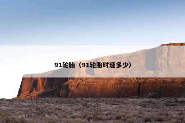 91轮胎（91轮胎时速多少）