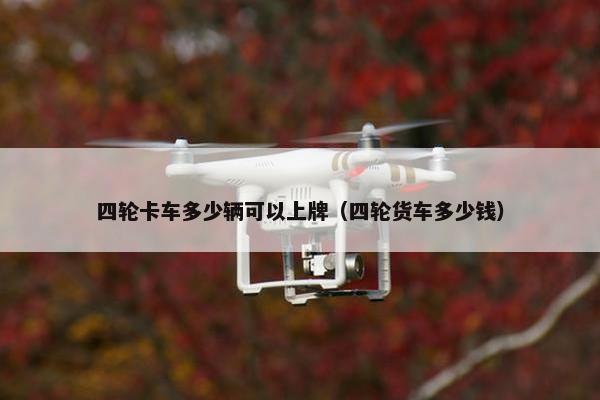 四轮卡车多少辆可以上牌（四轮货车多少钱）