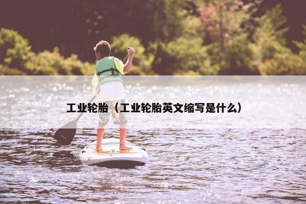 工业轮胎（工业轮胎英文缩写是什么）