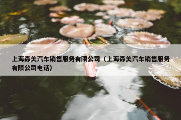 上海森美汽车销售服务有限公司（上海森美汽车销售服务有限公司电话）