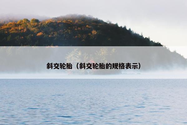 斜交轮胎（斜交轮胎的规格表示）