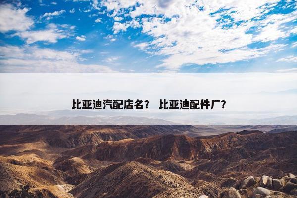 比亚迪汽配店名？ 比亚迪配件厂？