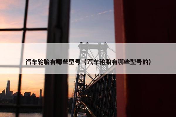 汽车轮胎有哪些型号（汽车轮胎有哪些型号的）