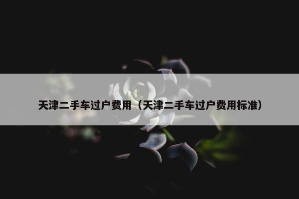 天津二手车过户费用（天津二手车过户费用标准）