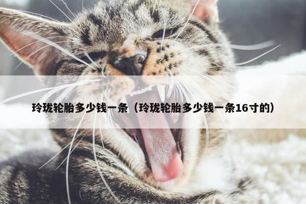 玲珑轮胎多少钱一条（玲珑轮胎多少钱一条16寸的）