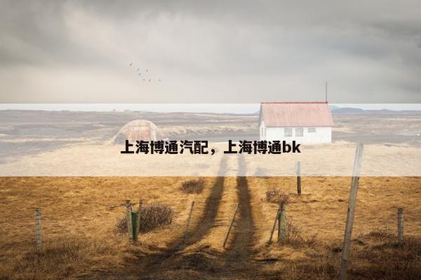 上海博通汽配，上海博通bk