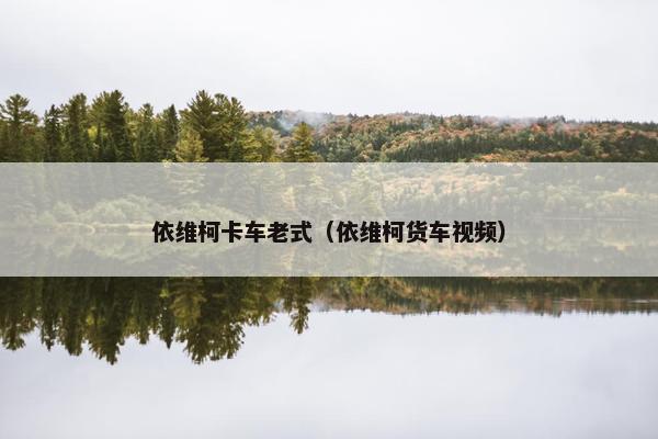 依维柯卡车老式（依维柯货车视频）