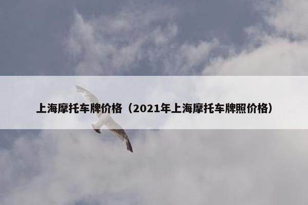 上海摩托车牌价格（2021年上海摩托车牌照价格）