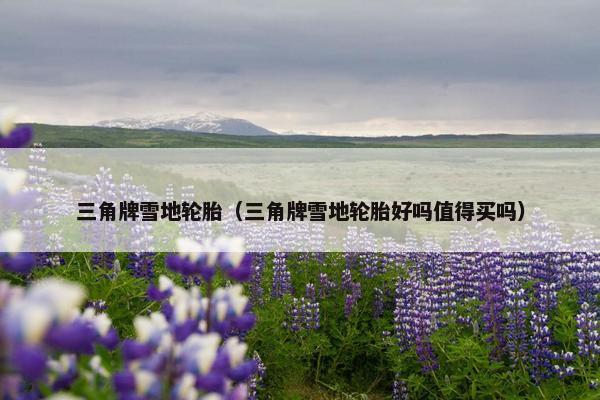 三角牌雪地轮胎（三角牌雪地轮胎好吗值得买吗）
