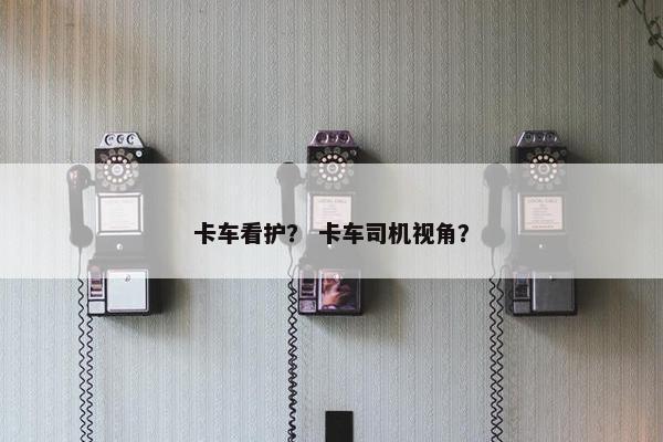 卡车看护？ 卡车司机视角？