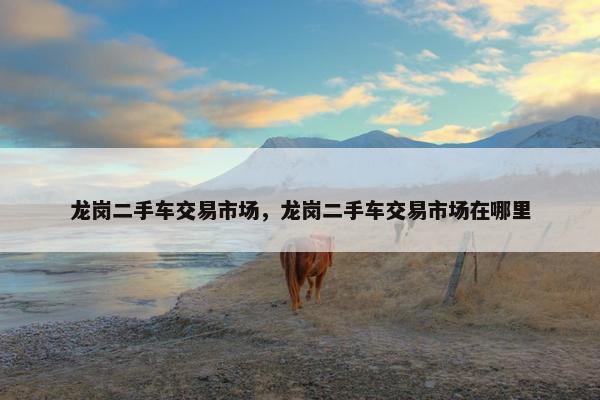 龙岗二手车交易市场，龙岗二手车交易市场在哪里