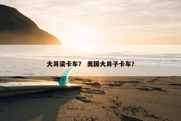 大鼻梁卡车？ 美国大鼻子卡车？