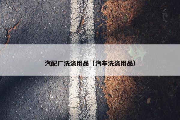 汽配厂洗涤用品（汽车洗涤用品）