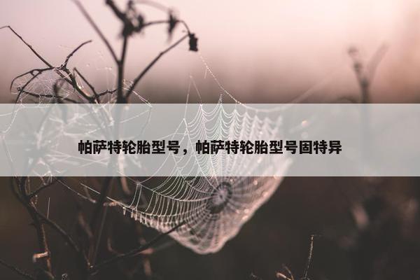 帕萨特轮胎型号，帕萨特轮胎型号固特异