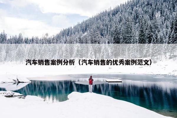 汽车销售案例分析（汽车销售的优秀案例范文）