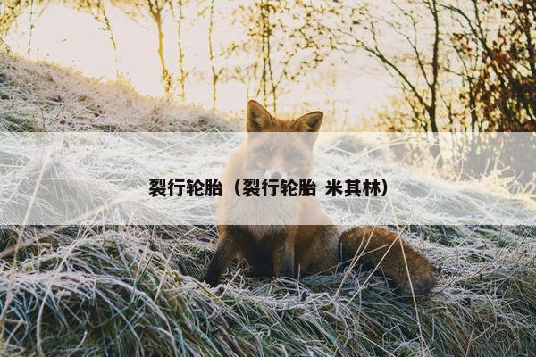 裂行轮胎（裂行轮胎 米其林）