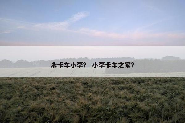 永卡车小李？ 小李卡车之家？