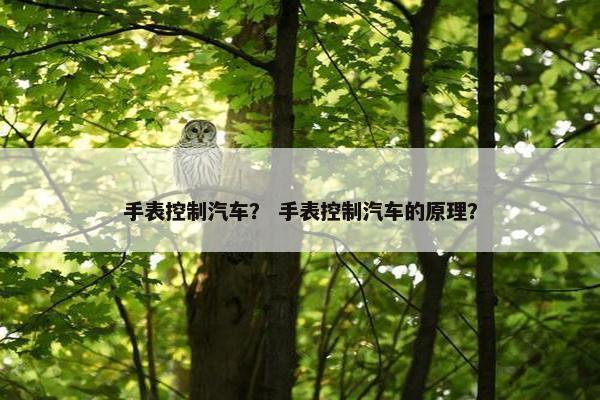 手表控制汽车？ 手表控制汽车的原理？