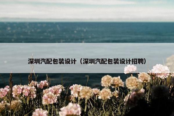 深圳汽配包装设计（深圳汽配包装设计招聘）