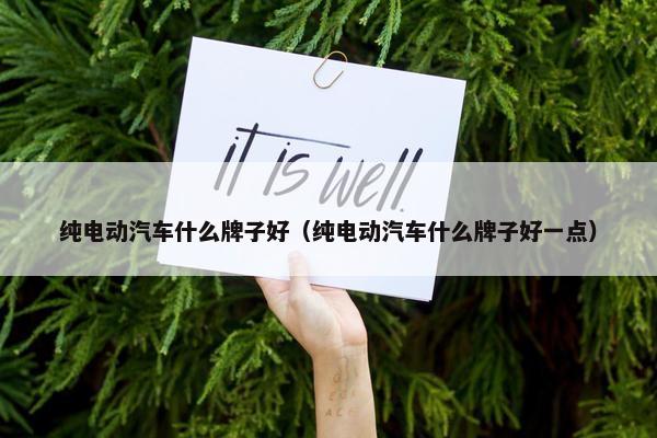 纯电动汽车什么牌子好（纯电动汽车什么牌子好一点）