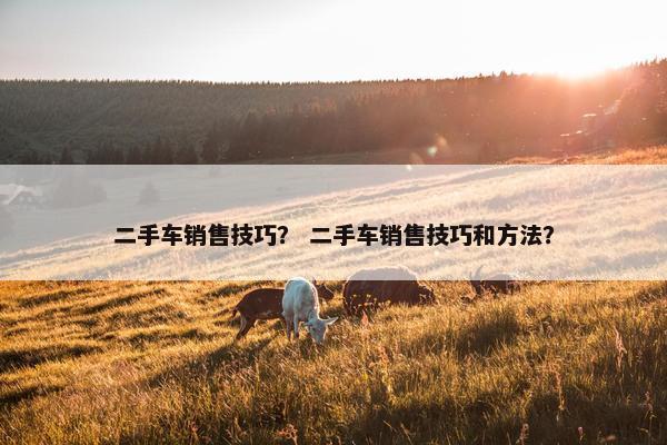 二手车销售技巧？ 二手车销售技巧和方法？