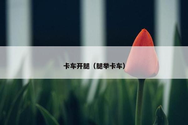 卡车开腿（腿举卡车）