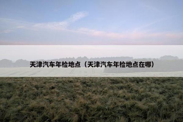 天津汽车年检地点（天津汽车年检地点在哪）