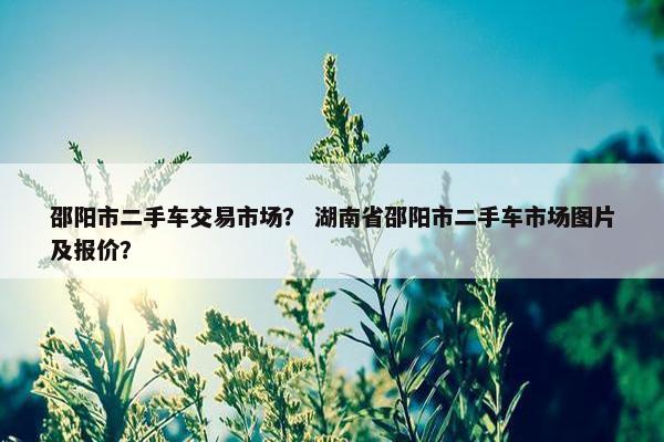 邵阳市二手车交易市场？ 湖南省邵阳市二手车市场图片及报价？