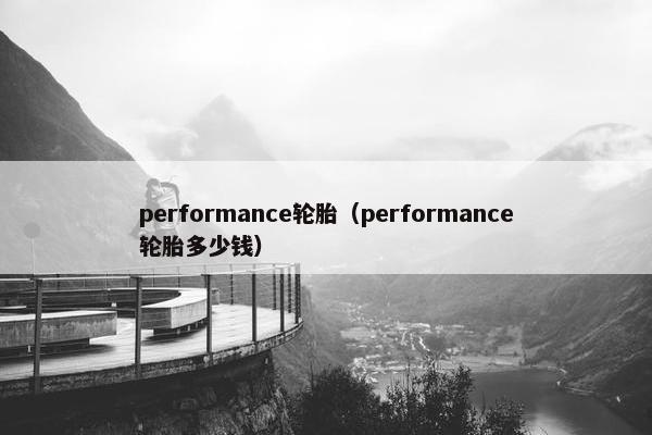 performance轮胎（performance轮胎多少钱）