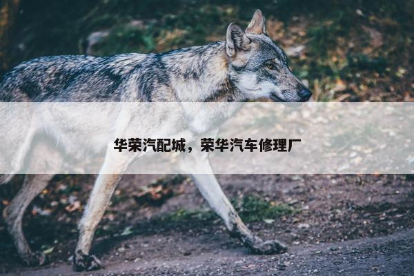 华荣汽配城，荣华汽车修理厂