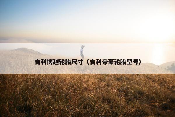 吉利博越轮胎尺寸（吉利帝豪轮胎型号）