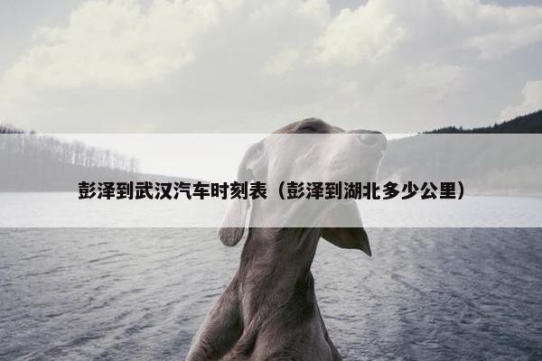 彭泽到武汉汽车时刻表（彭泽到湖北多少公里）